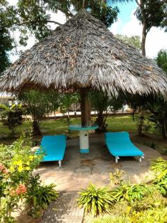Serene Pool Villa - 8