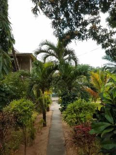 Serene Pool Villa - 6