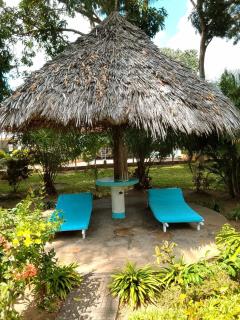 Serene Pool Villa - 3