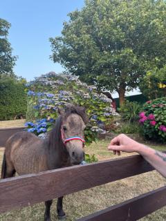 Lakeland Guest House - 8