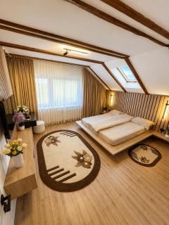 Vi-la Sighisoara - 6