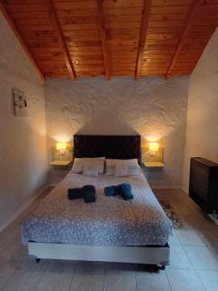Los Lupinos - Casa del Bosque - 2