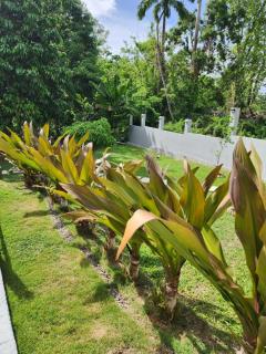 Spiral Nest at Tropical Apartments Tobago - 5