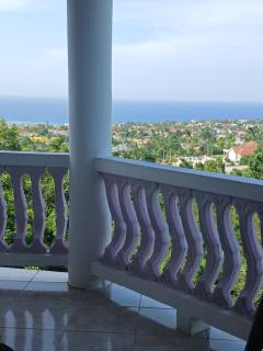 Sweetsop Jamaica Villa and Tour - 1