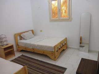 Newly cozy 2 bedrooms apartment with garden - 8