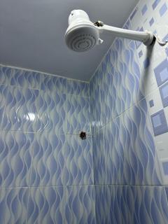 Zuri Homes - 6