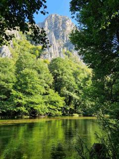 Green River Matka - Guest House - 8