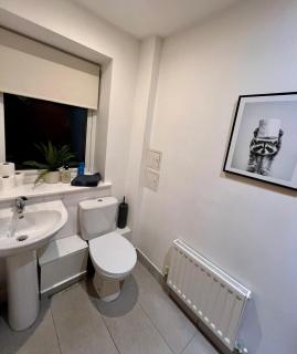 Newcastle modern apartment - 2