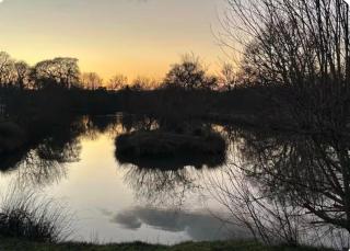 Lodge 5 Upton Lakes & Lodges Old Hill Cullompton Devon EX151RA - 6