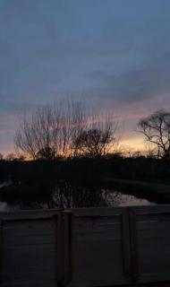 Lodge 5 Upton Lakes & Lodges Old Hill Cullompton Devon EX151RA - 7