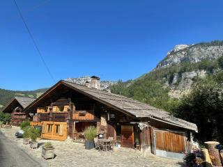 CHARMIEUX appartement en chalet typique - 9