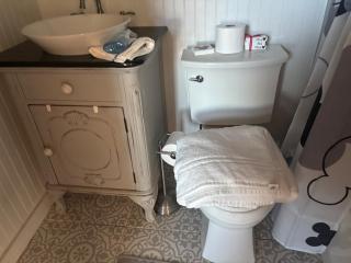 Pet friendly 1909 coastal estate- gated yard near AMI - 9