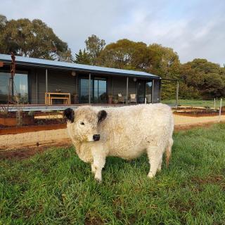 Mygunyah Farmstay - 0