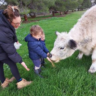 Mygunyah Farmstay - 2