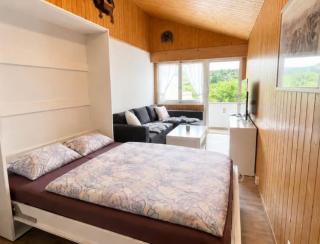 Studio Saas-Fee mit eigenem Parkplatz - 9