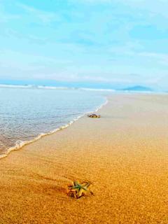 Laika Boutique Stay (Sanya Bay Coconut Dream Corridor) - 7