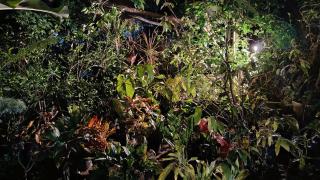 Alojamiento zona Green - 3
