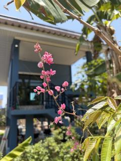 5 minutes from Zen Beach, fully equipped Kitchen, King Bed - 3