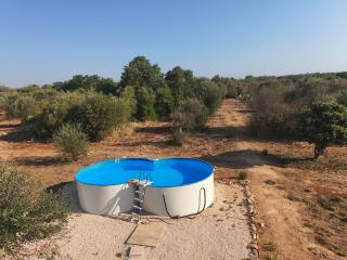 Villa Terra Luce - 6