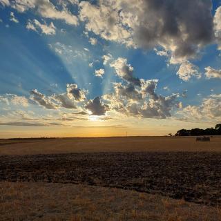 Mygunyah Farmstay - 5