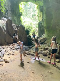 Tiga dara guest house & jungle trekking bukit Lawang - 5