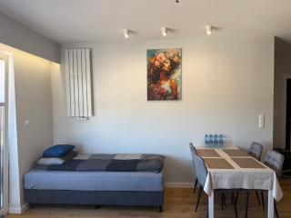 Klimatyzowany Apartament Seminaryjska w centrum Kielc, parking - 2