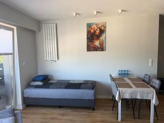 Klimatyzowany Apartament Seminaryjska w centrum Kielc, parking - 9