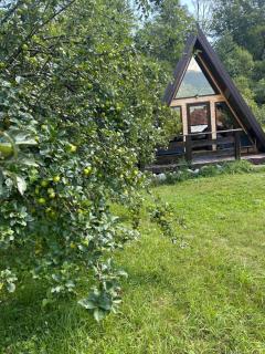Casa de vacanța Cristina - 1