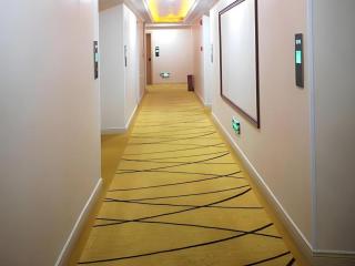 GreenTree Inn Express Shanghai Baoshan District Youyi Road Metro Station - 6