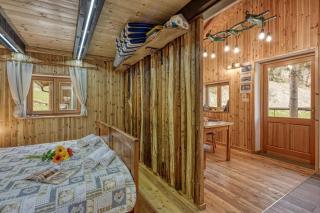 Wooden Chalet Kalanka in Nature - Happy Rentals - 5