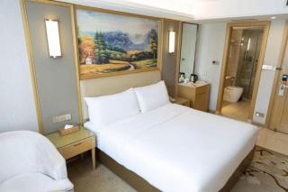 Vienna Hotel Hunan Ningyuan Jiuyi - 3