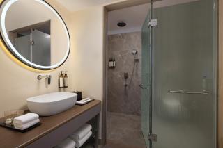 Essentia Luxury Hotel and Convention, Nagpur - 1