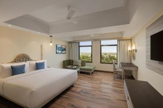 Essentia Luxury Hotel and Convention, Nagpur - 4