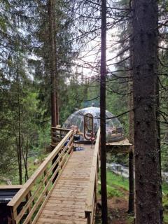 Treetop igloo by the river - 0