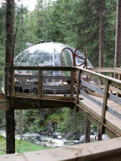 Treetop igloo by the river - 7