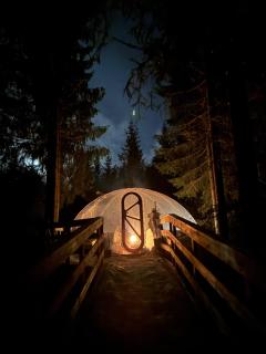 Treetop igloo by the river - 9