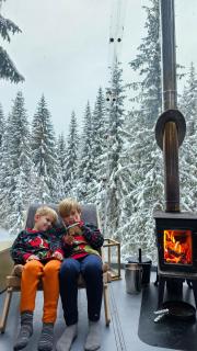 Treetop igloo by the river - 1