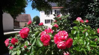 Ferienhaus - Handwerkerhof Fränkische Schweiz - Gräfenberg - 3