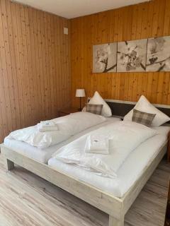 Hotel Hasli - Meiringen - 9