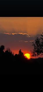 sunrise sun - 6