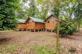 Finca Talok Eco Lodge - 4