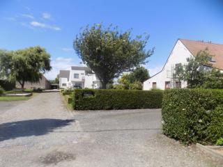 B&B De Polderhoeve - Blankenberge - 4