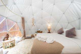 Morning Star Glamping - 8