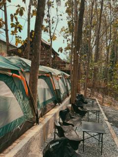 Javana Glamping - 4