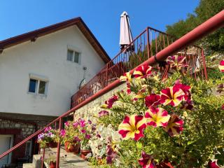 Sofia Guest House - 5