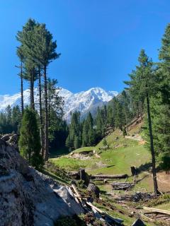 Lake view hotel fairy meadows - 5