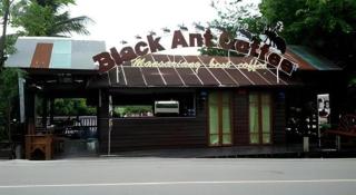 P&P Coffee & Resort Maesariang - 4