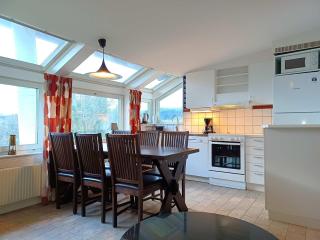 Flat for 6 in Hummeln Walk to Slopes - 7