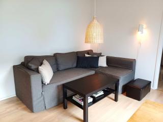 Flat for 4 in Hummeln Walk to Lift - 5