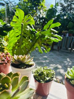 Homestay Hẻm - 3